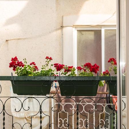 شقة Arrabida House سيتوبال المظهر الخارجي الصورة